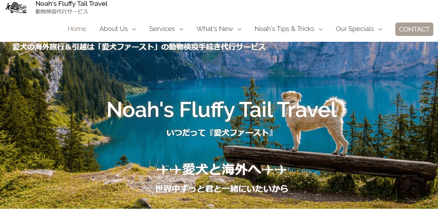 Noahs Fluffy Trail Travel top pege