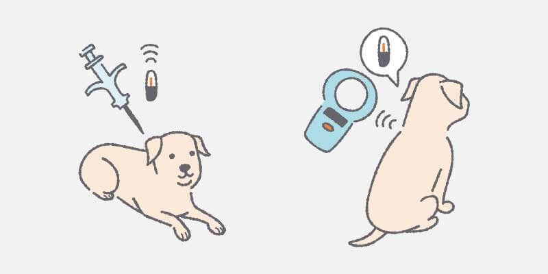 マイクロチップと犬